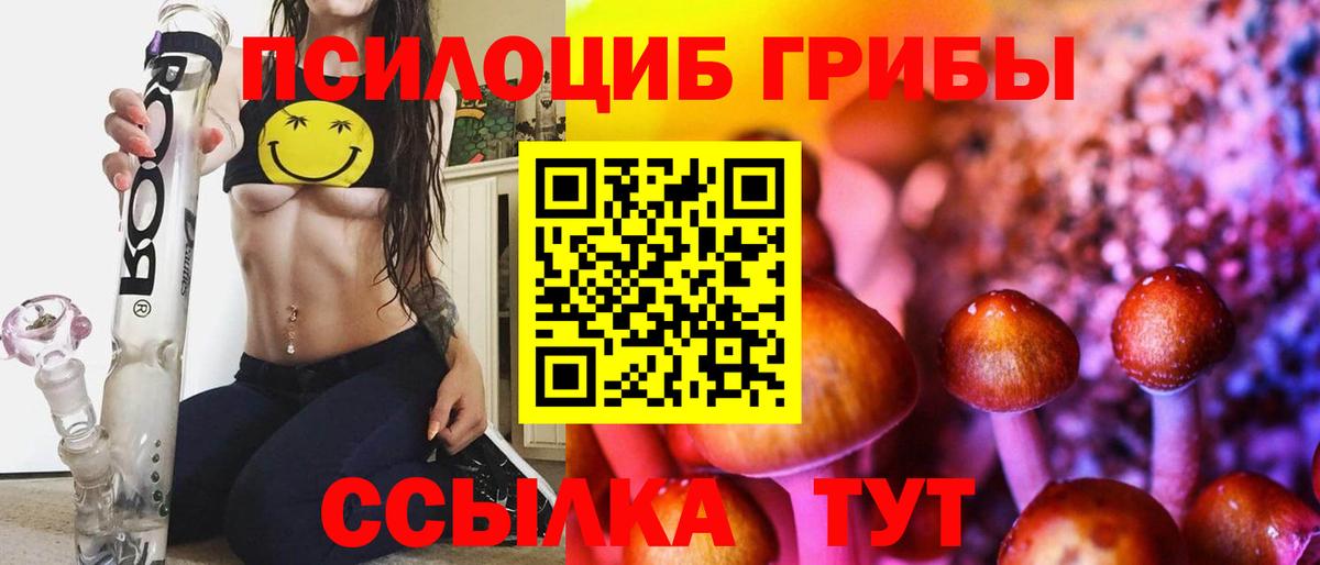 Галлюциногенные грибы мухоморы  Вход с VPN  Киселёвск 